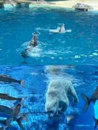 杭州都有海洋動物世界