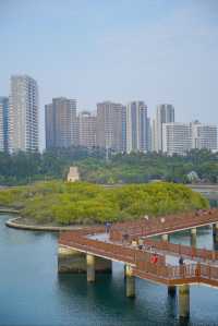 路燈下的鹹蛋黃廈門絕美日落