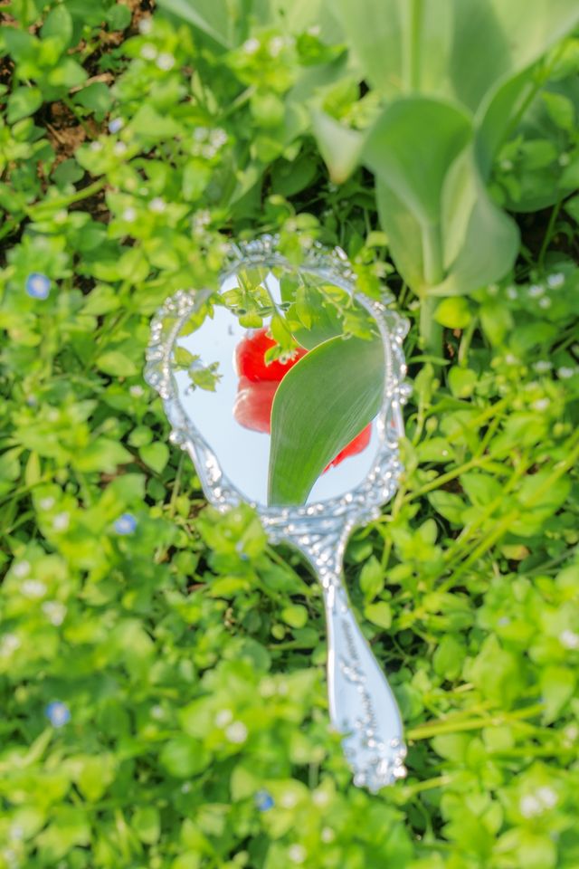 春天的影像詩｜不需要濾鏡的長沙花海