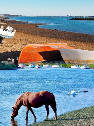 Meet Poole and encounter the poetry and sea of ​​England!