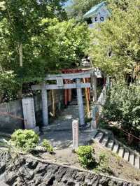 四季流轉，靜觀城市之巔——西公園與大濠公園