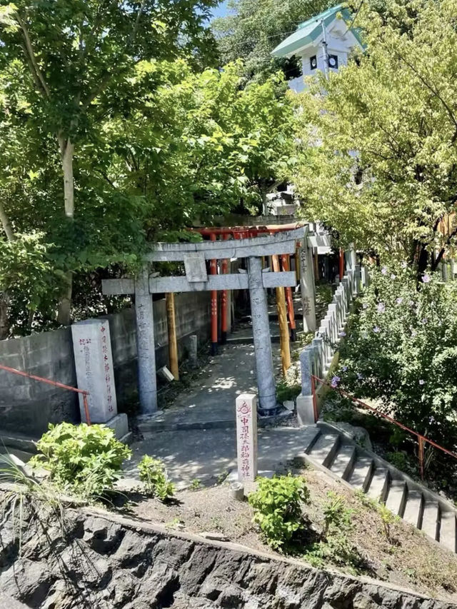 四季流轉，靜觀城市之巔——西公園與大濠公園