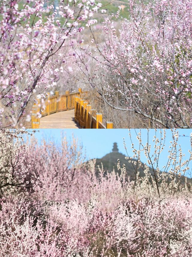 北京超美小眾登山步道，衝鴨