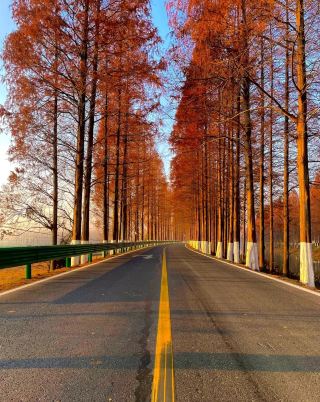 Are you coming to Qianjiang?
