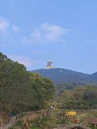 黃石東風山 ——被雲霧包圍的徒步天堂