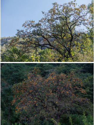 A 2-Day Trip to Zaozhuang for Qingming Festival: Embrace the Spring Scenery