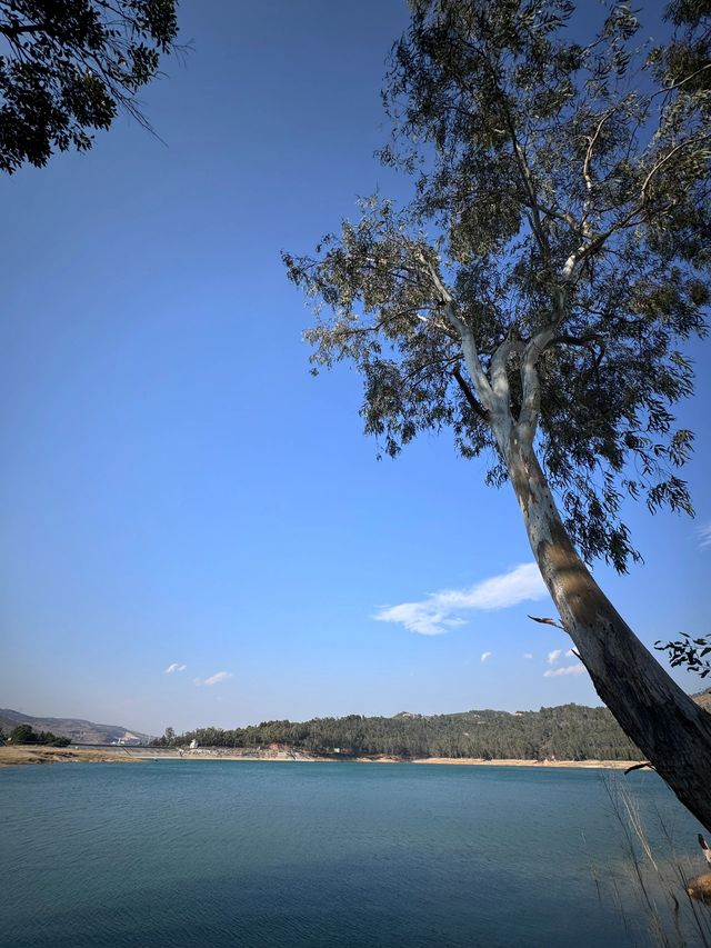 老友出遊優選昆明等地超全旅遊攻略必收藏