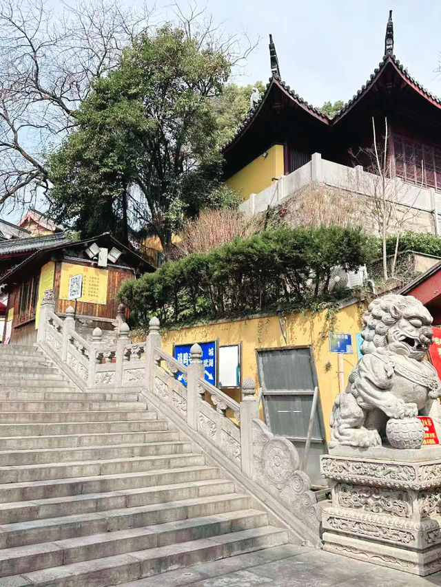 雞鳴寺的櫻花，是金陵獨有的春日浪漫