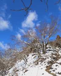 日本・四日市|鈴鹿山脈：探索三重縣最美麗的山岳風光！