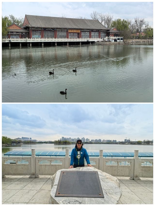 【天津南開區～水上公園·天津電視塔】