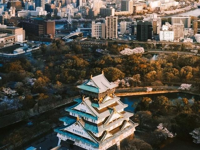 🌸Trip接送機|日本春日出遊指南·關西篇1