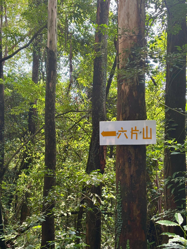 探秘廣州六片山，邂逅自然仙境