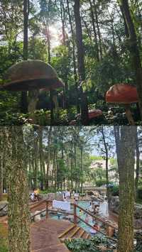 昆明水質非常乾淨嘅溫泉 Spa 溫泉山谷