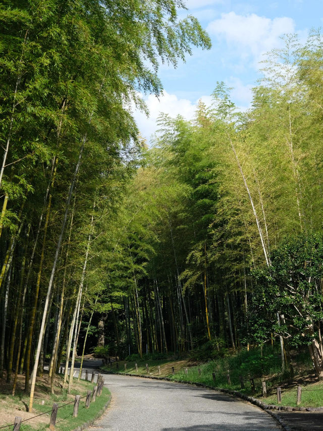 大阪市郊散步——萬博紀念公園