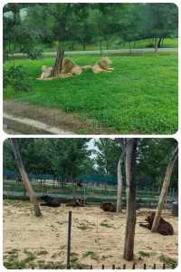 秦皇島 | 野生動物園