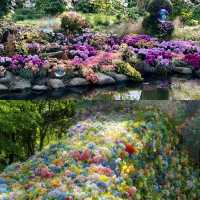 共青森林公園 現實版莫奈花園攻略來啦
