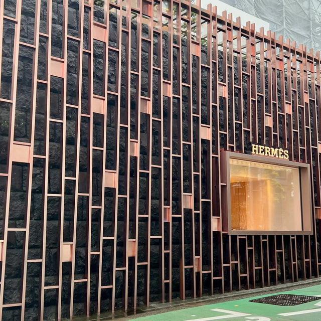 東京漫步｜表參道，時尚與建築的交響樂章🎶