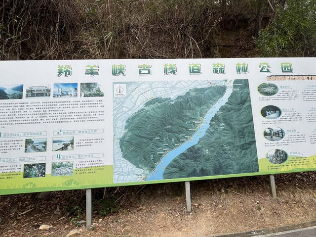 廣東省肇慶市著名森林公園：羚羊峽古棧道森林公園，適合觀光旅遊、度假休閒等！