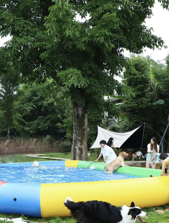 春遊季到，快帶上毛孩子進山撒歡兒～