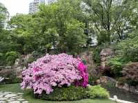 輔德里公園—疊石瀑布、杜鵑花海