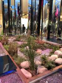 【北京世園會】打卡全球園藝盛宴！解鎖夢幻植物館