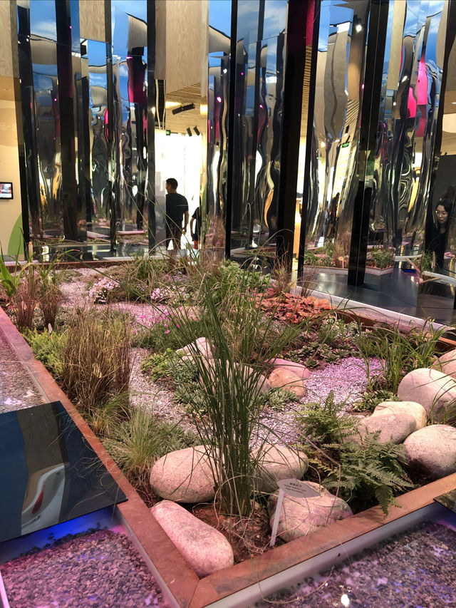 【北京世園會】打卡全球園藝盛宴！解鎖夢幻植物館