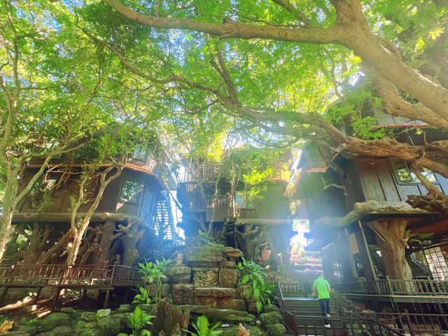 三亞避世天花板！枕浪聽潮的南山樹屋，值回票價的治癒之旅