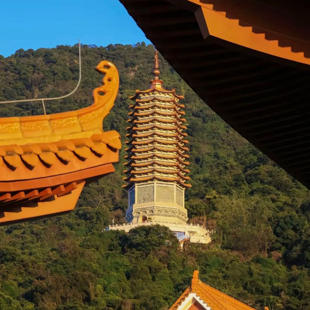 深圳仙湖植物園 | 必打卡景點推薦
