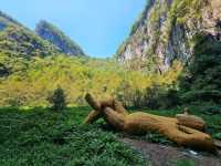 走進地理武隆天生三橋
