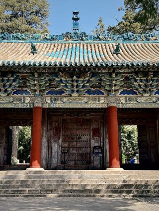 고목과 별자리·진청 옥황묘