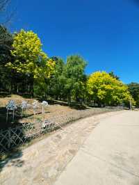   Xishan National Forest Park – Beijing