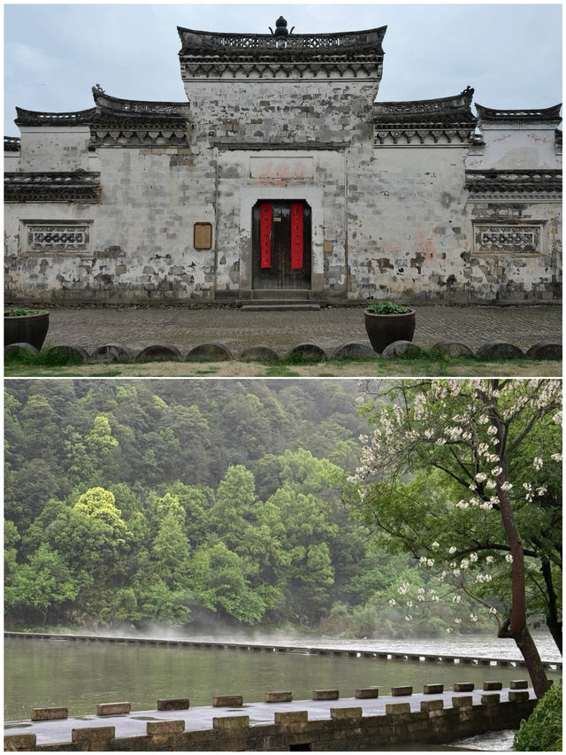 第一次去縉雲，直接複製這個攻略