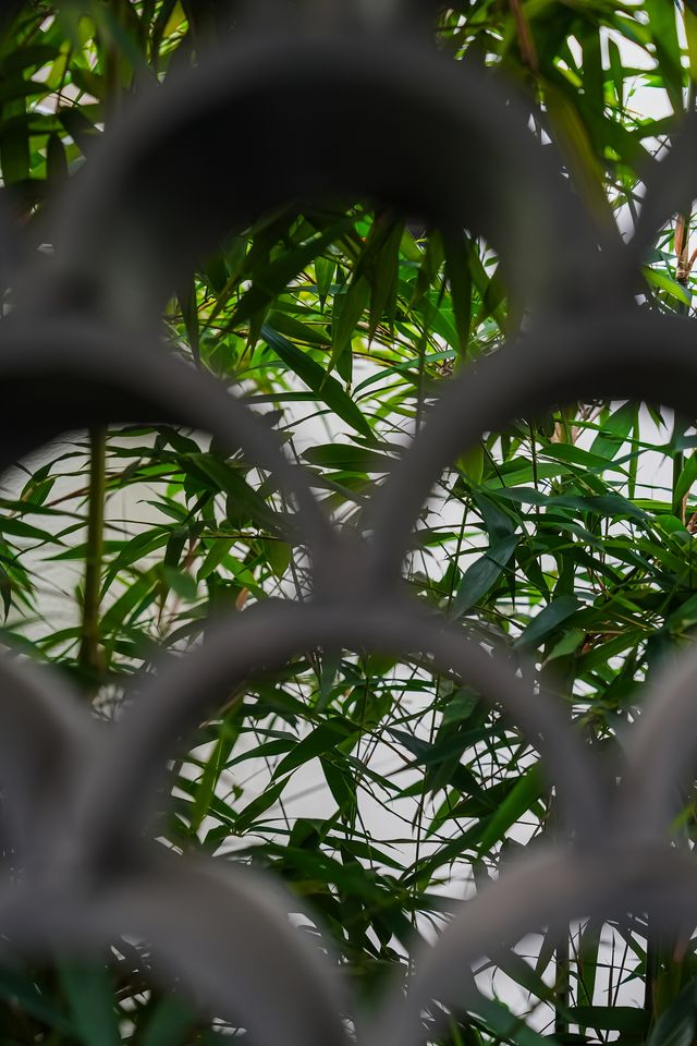 隱於西湖畔的詩意棲居，杭州這家酒店真不俗