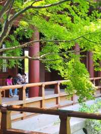 牛手山 - Nanjing - Stroll throught nature