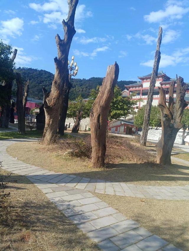 台州深山藏着一座寺廟，驚艷世人！