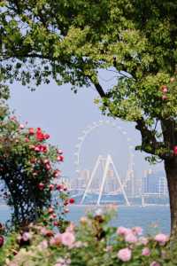 天啊蘇州竟藏着一個“海邊莫奈花園”