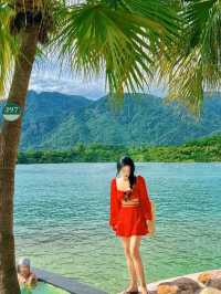 Coconut Grove Beach in the skov river wonderland 🇨🇳