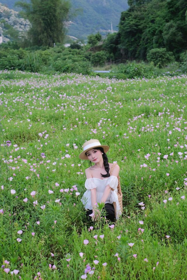 就喺平陽雲嶼灣！花海露營真係太開心啦！