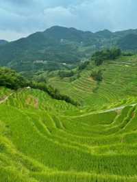 婁底旅遊必備攻略（超全）