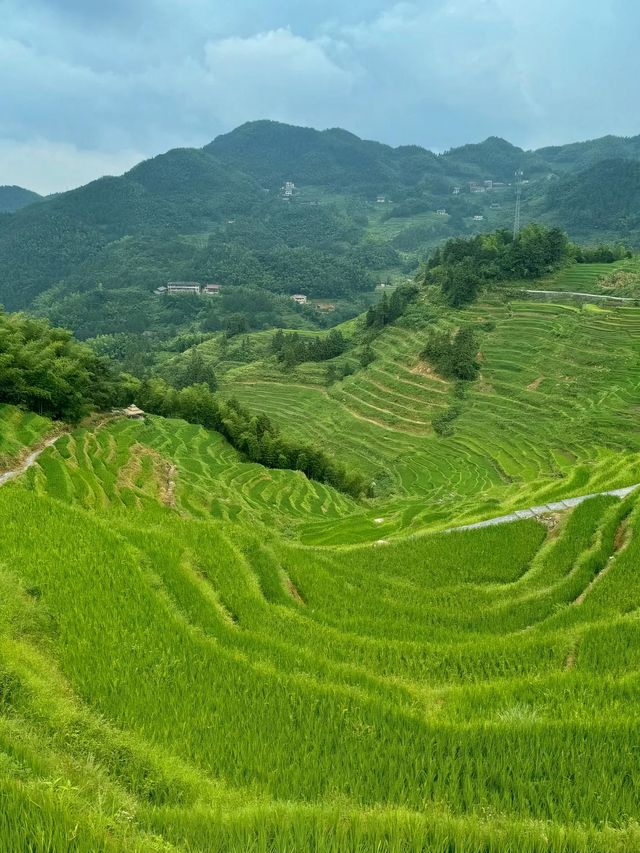 婁底旅遊必備攻略（超全）