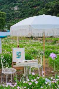 平陽嘅花海已經係next level喇