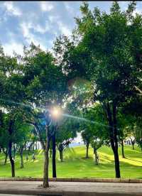 比起大理～我更鍾意呢個夏天20度嘅雲南小城