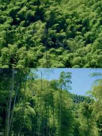 為咗呢扇窗，特登去咗一趟安吉