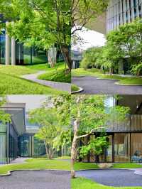 陪朋友喺白雲山腳揀婚宴場地，竟然似行藝術館咁有feel