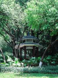 返工攰咗就去行山啦～廣州市區小眾行山路線～
