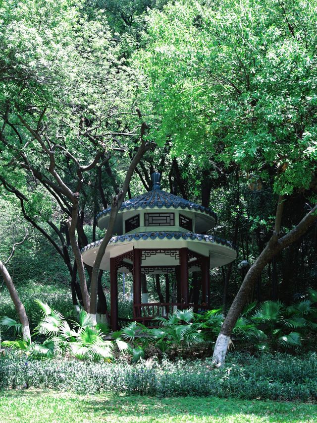 返工攰咗就去行山啦～廣州市區小眾行山路線～