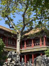 The Palace Museum 