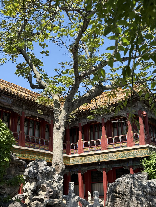 The Palace Museum 