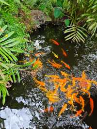 熱帶花園式酒店分明就係華欣後花園