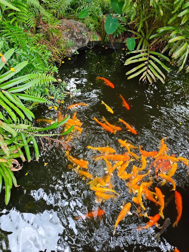 熱帶花園式酒店分明就係華欣後花園